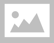 50W APPLE MODEL FLOOD LIGHT 65K